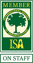 ISA member on staff